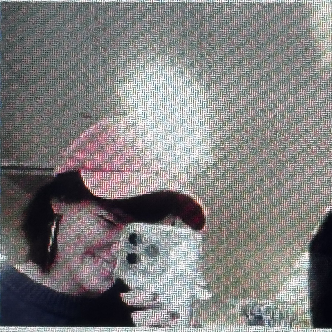 Picture of the website owner, their face partially obscured by a phone. The image is a selfie taken in the reflection of a store's security camera feed.